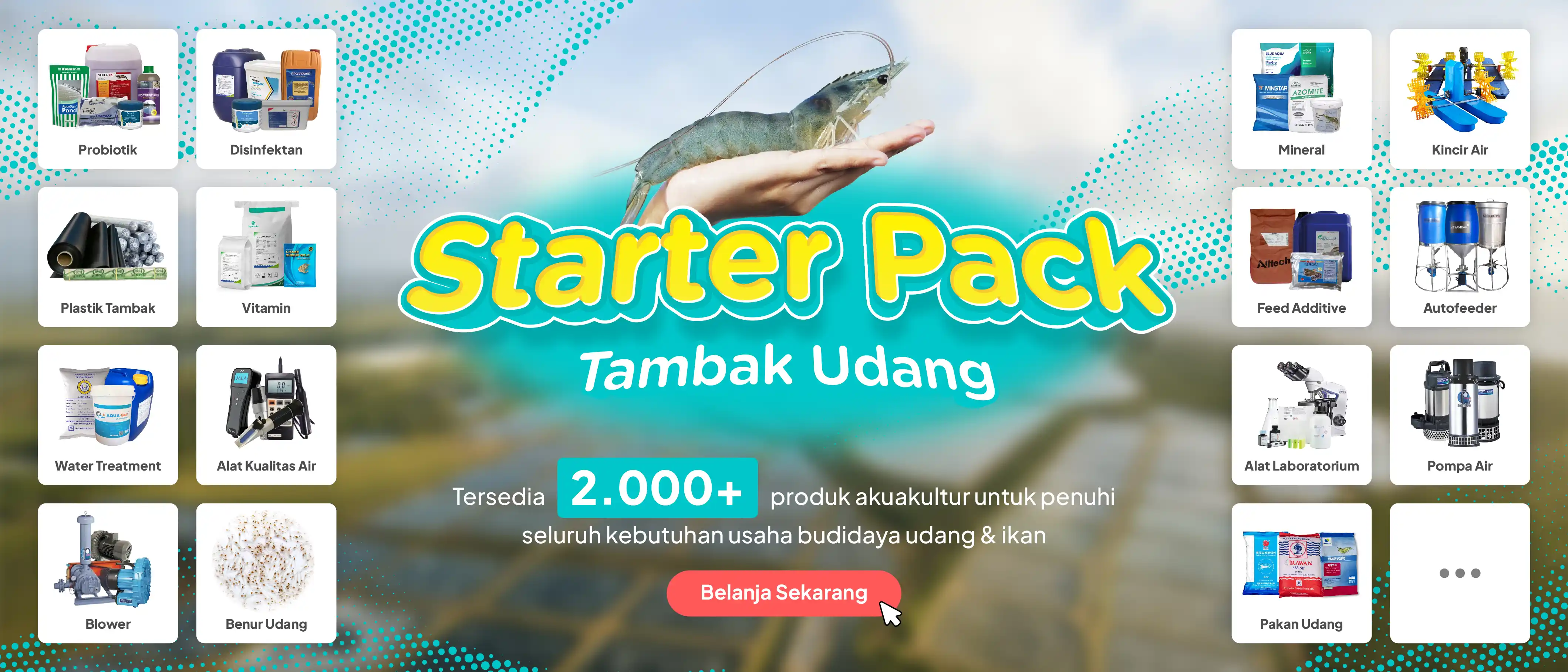 Starter Pack Tambak Udang
