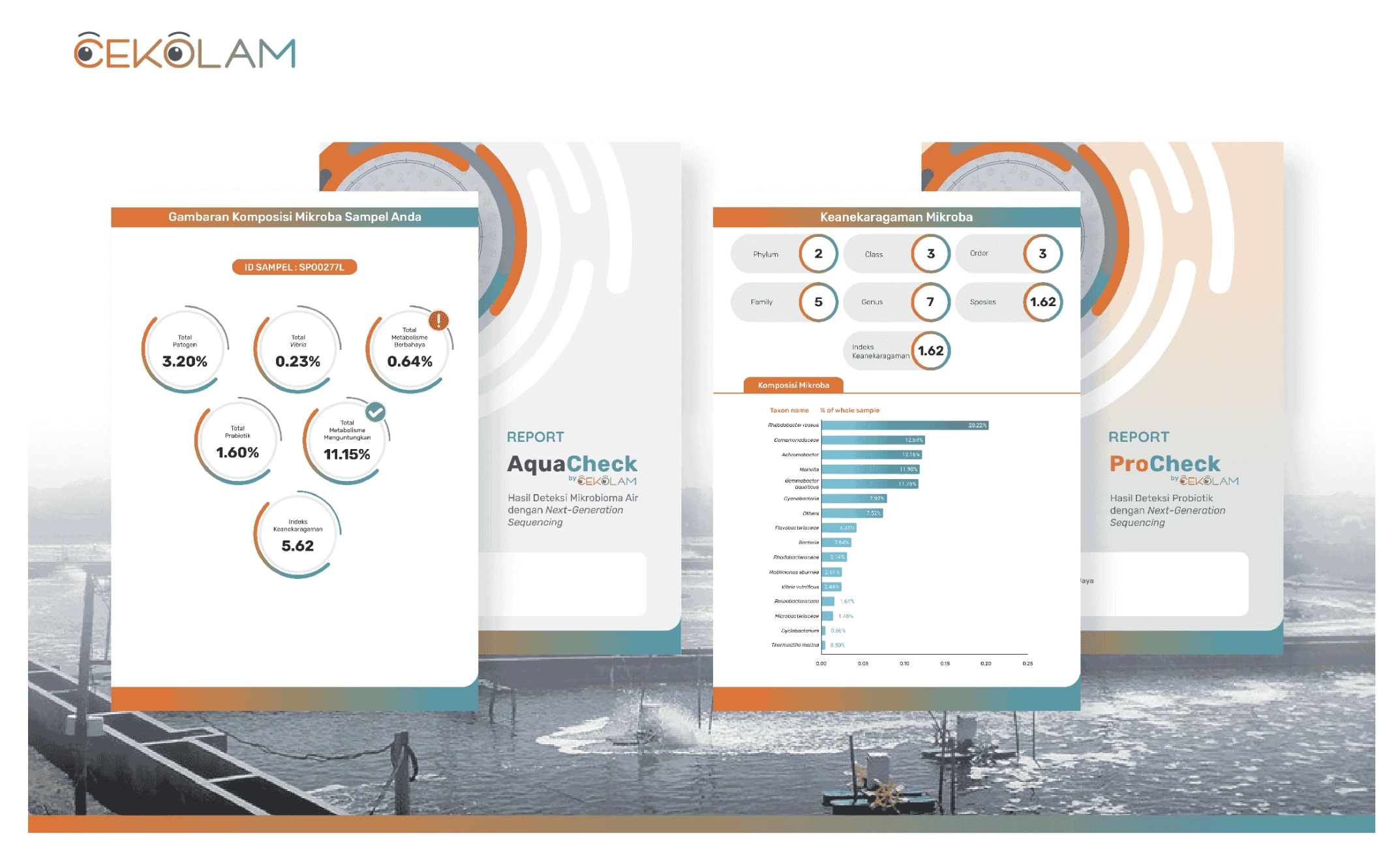 efektivitas probiotik tambak udang procheck