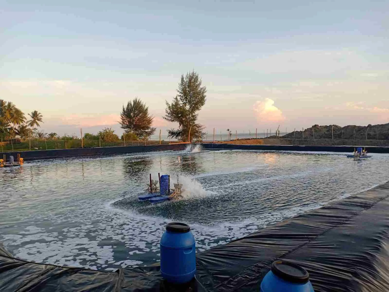 Biosecurity Tambak Udang