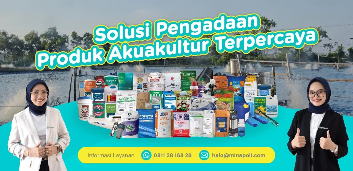 banner sales minapoli