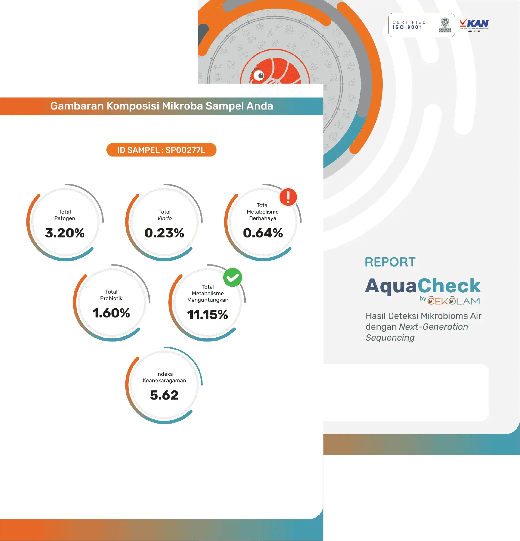 Jenis Mikroba Tambak Udang AquaCheck