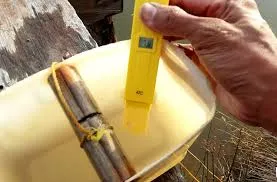 Angka pH Optimal Tambak dan Pengaruhnya pada Udang