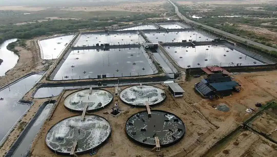 Apa saja Perizinan Usaha Tambak Udang?