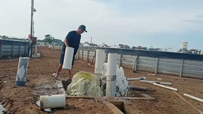 Fungsi Central Drain pada Tambak Udang