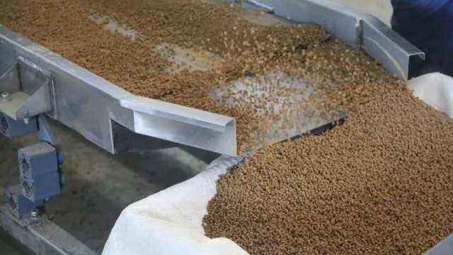 Memahami Cara & Proses Produksi Pabrik Pakan Ikan