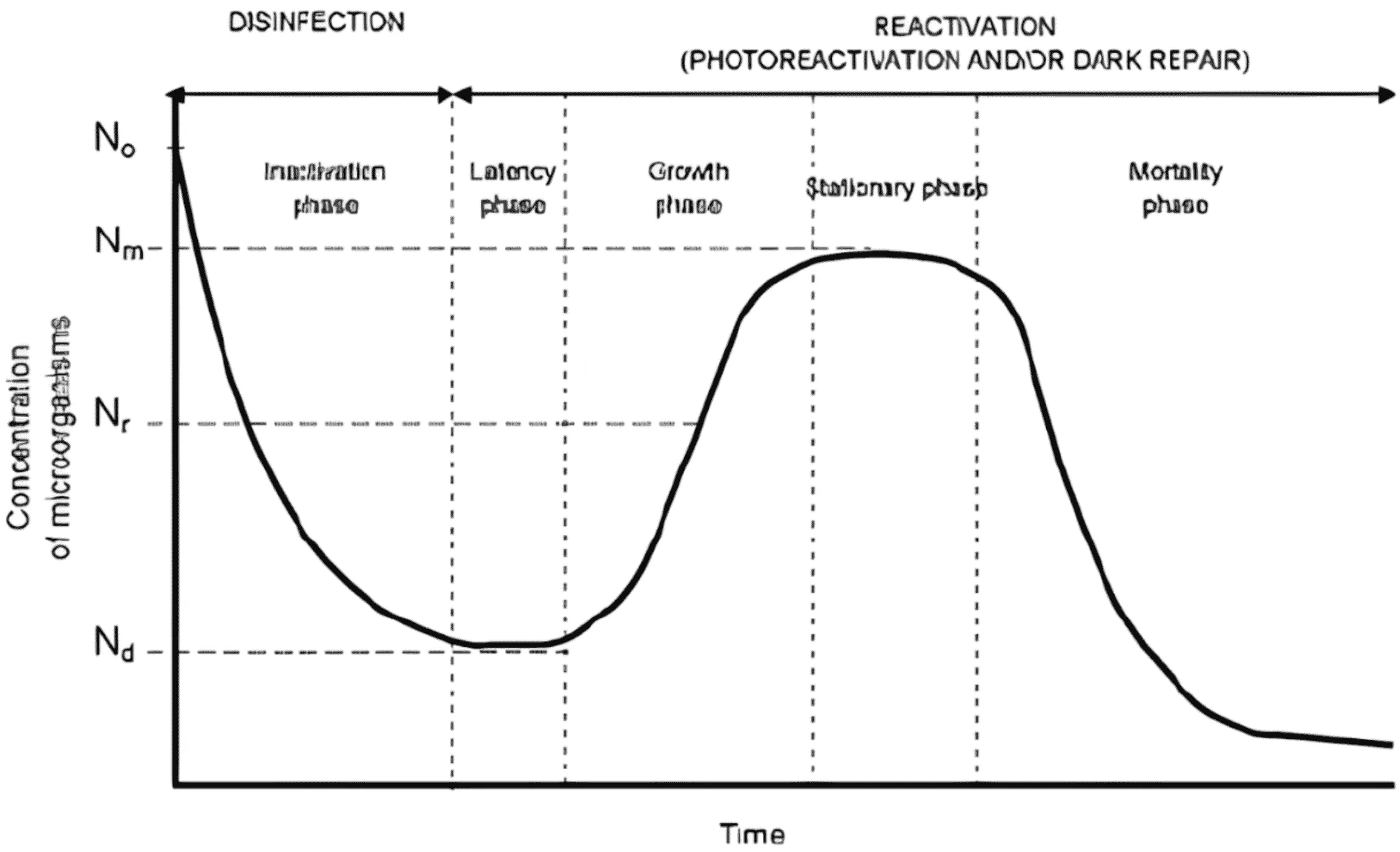 Sudah Pakai UV, Tapi Kenapa Masih Ada Penyakit di Tambak Udang?