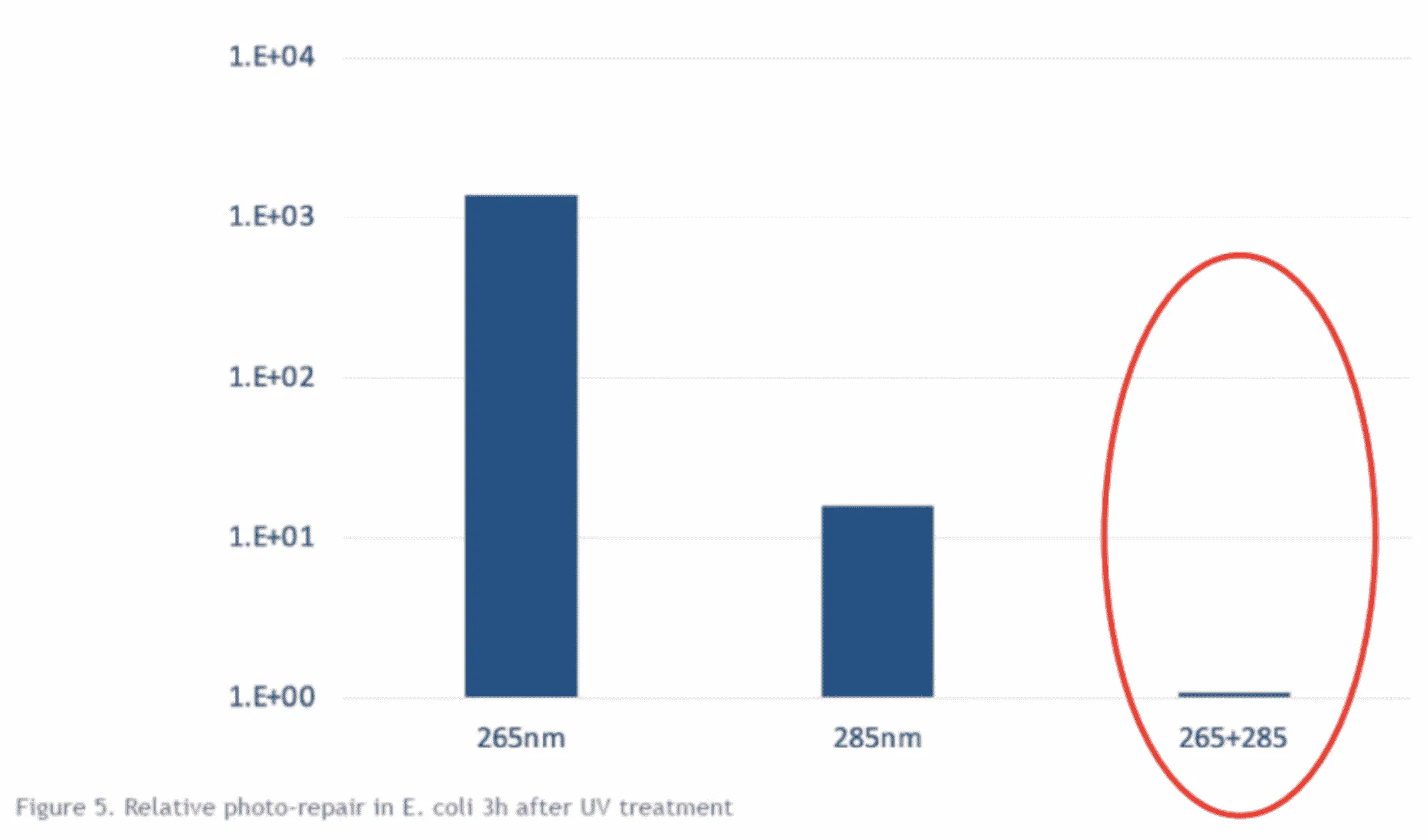 Sudah Pakai UV, Tapi Kenapa Masih Ada Penyakit di Tambak Udang?