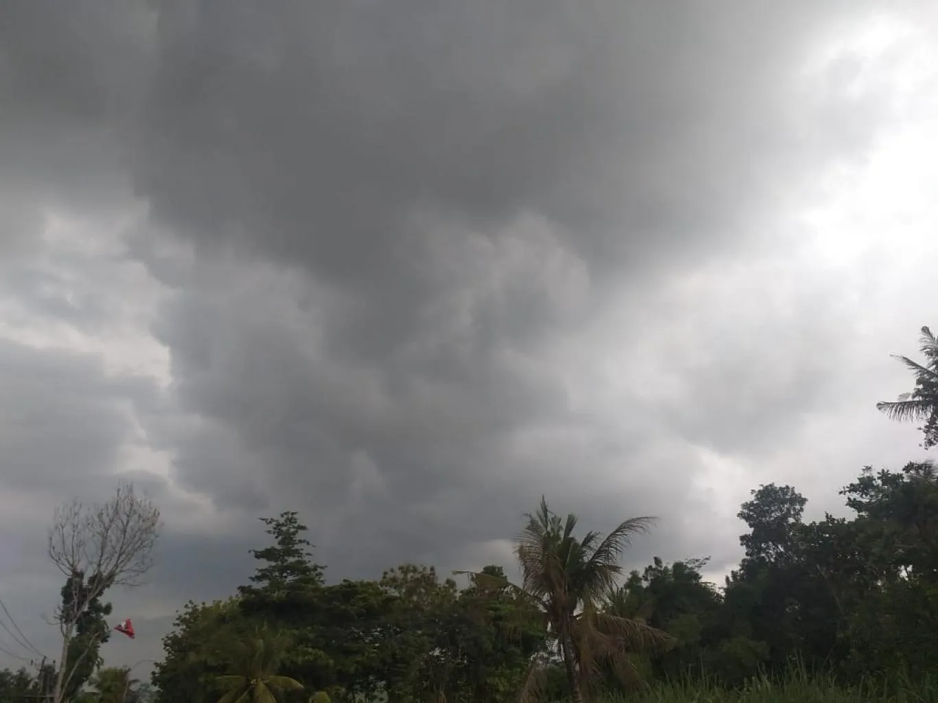 5 Tips Menghadapi Pancaroba pada Tambak Udang Vaname