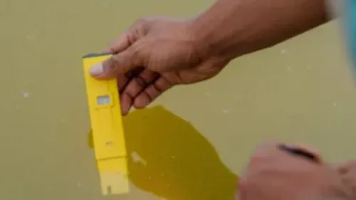 5 Tips Menghadapi Pancaroba pada Tambak Udang Vaname