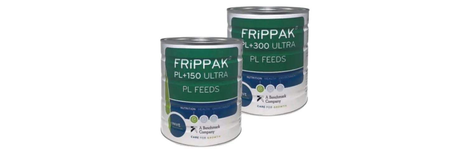 Rekomendasi 4 Pakan Benur Protein Tinggi