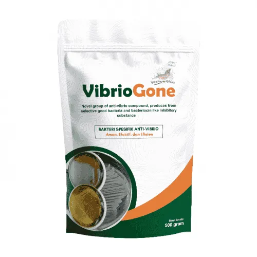 Berikut Cara Efektif Mengatasi AHPND pada Udang