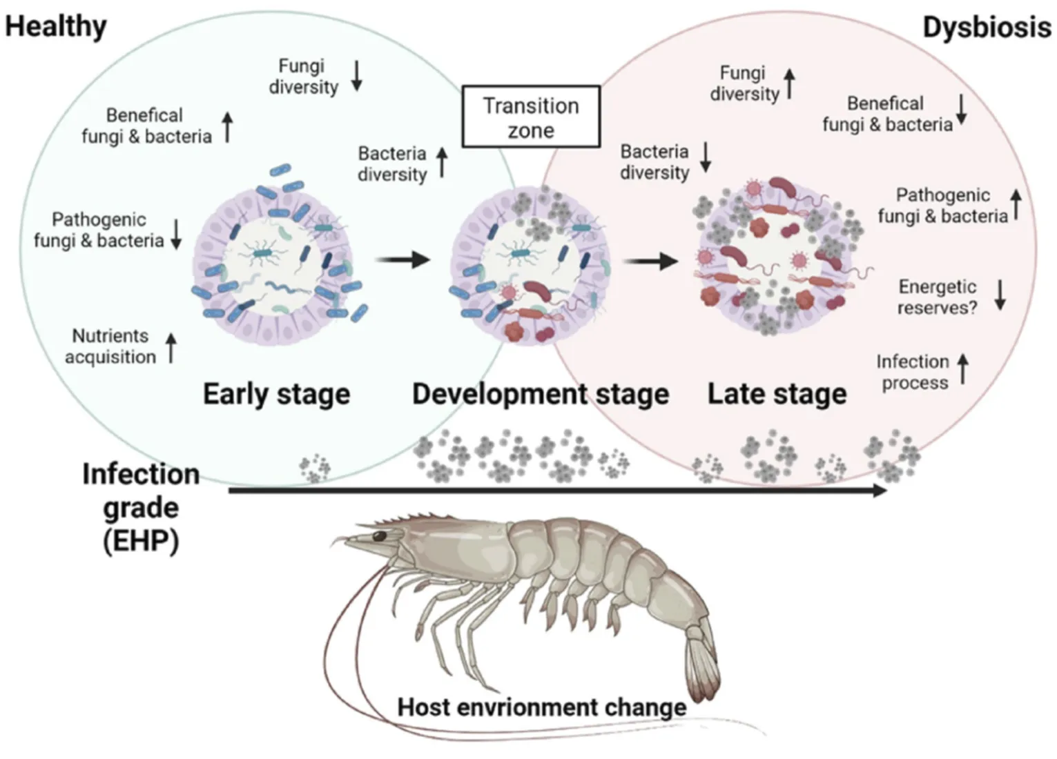 Kenali Penyakit EHP, Cara Pencegahan dan Pengobatan
