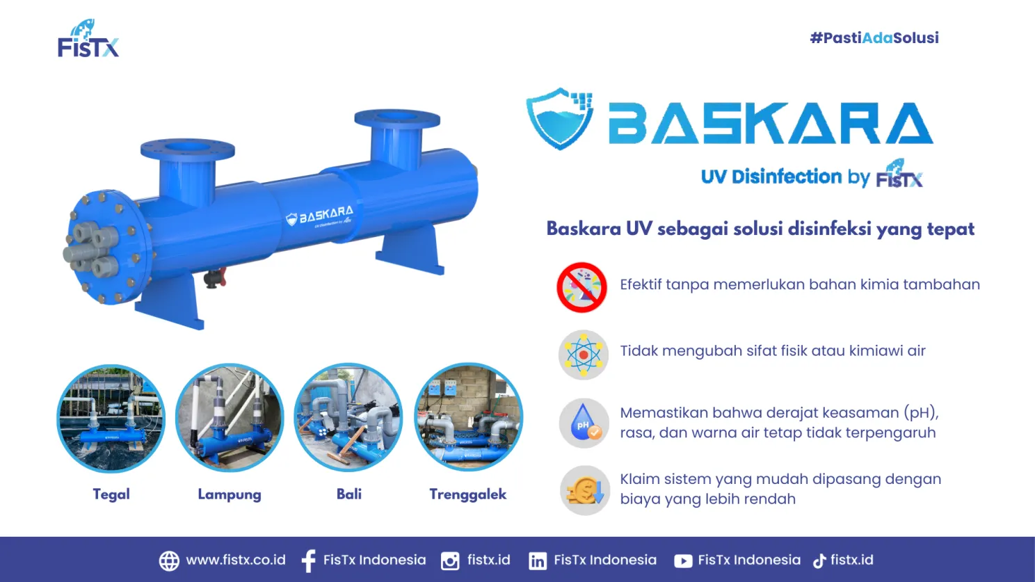 Kenali Penyakit EHP, Cara Pencegahan dan Pengobatan