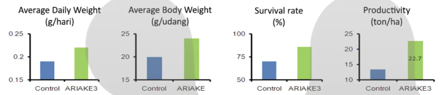 Cara Menurunkan Nitrit di Tambak Udang dengan Probiotik