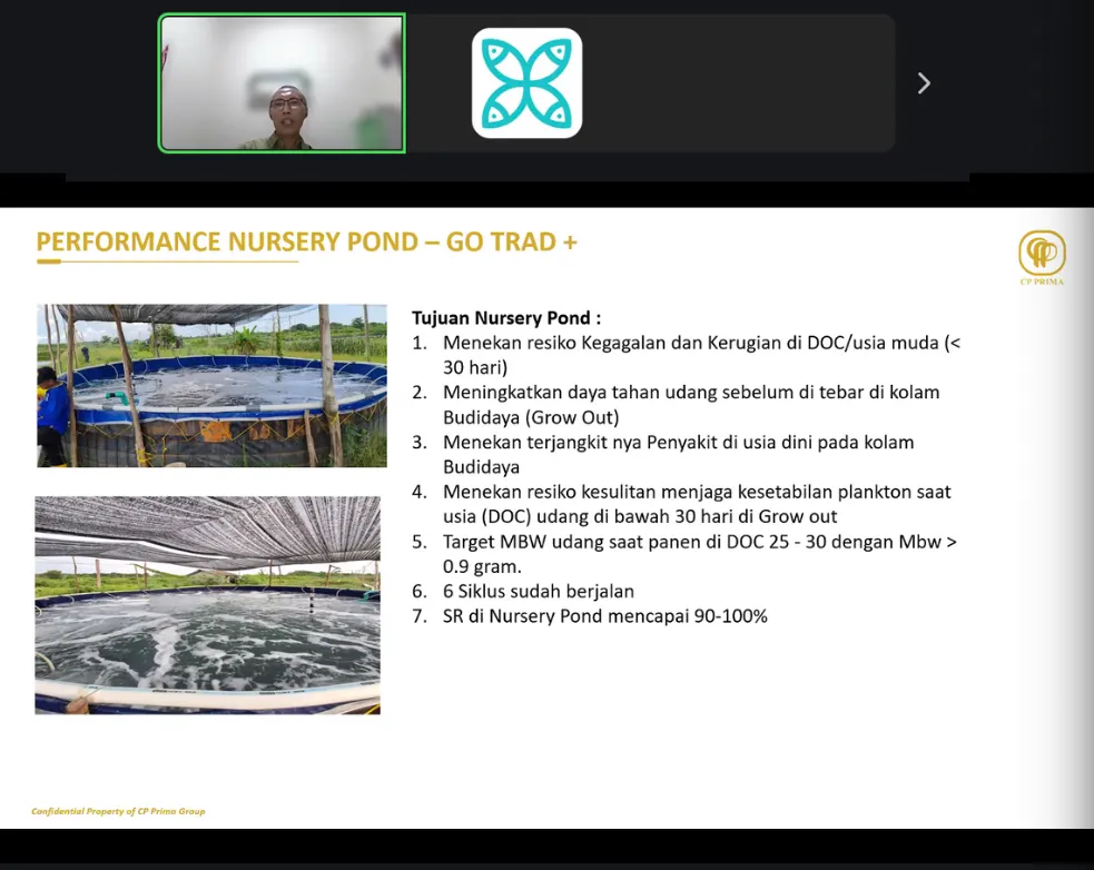 Bedah Cara Pentokolan Udang untuk Tingkatkan Produktivitas Tambak