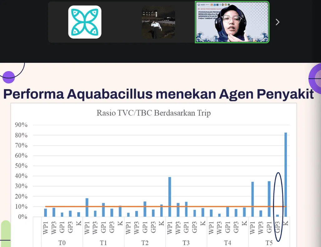 Peran Probiotik Bacillus dari Laut untuk Mencegah Vibrio pada Tambak Udang