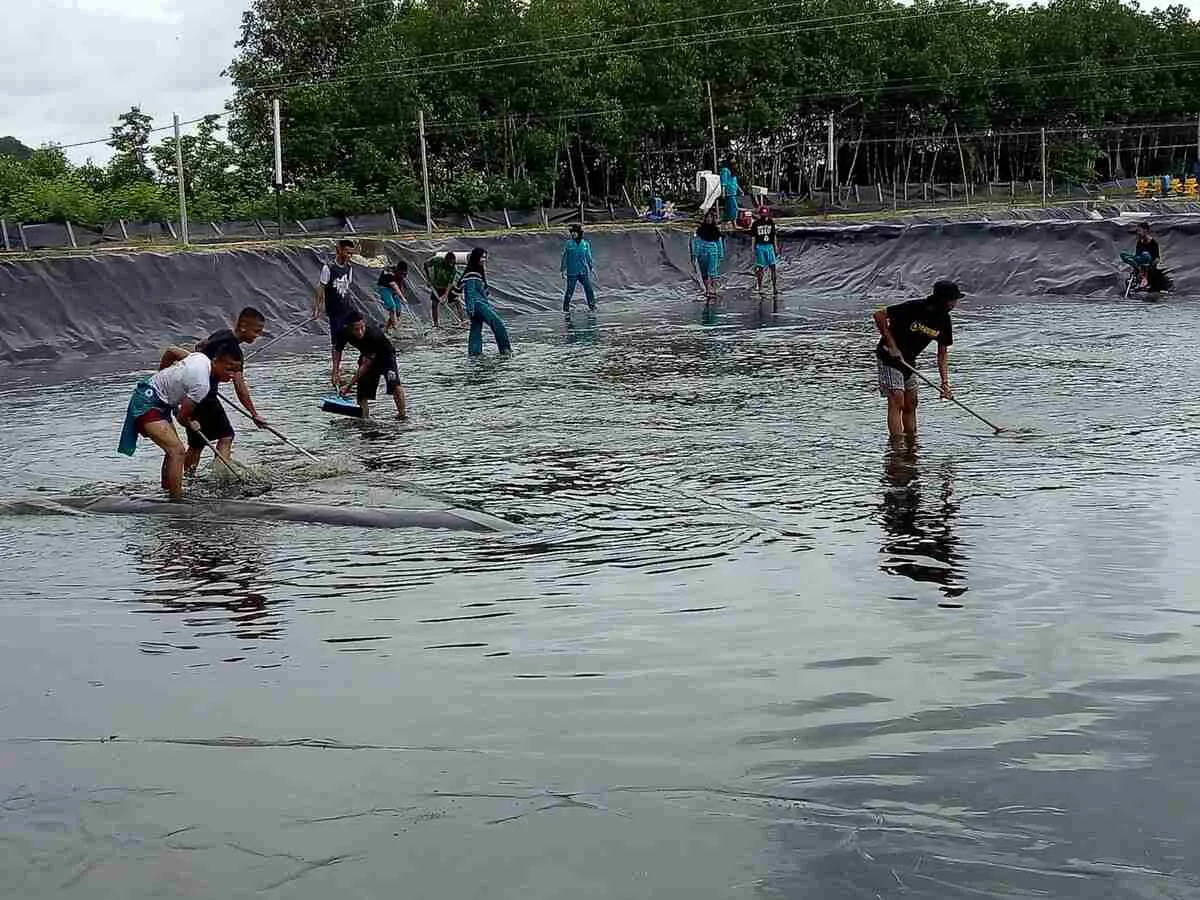 Tata Cara Komplit Biosecurity Tambak Udang Vaname