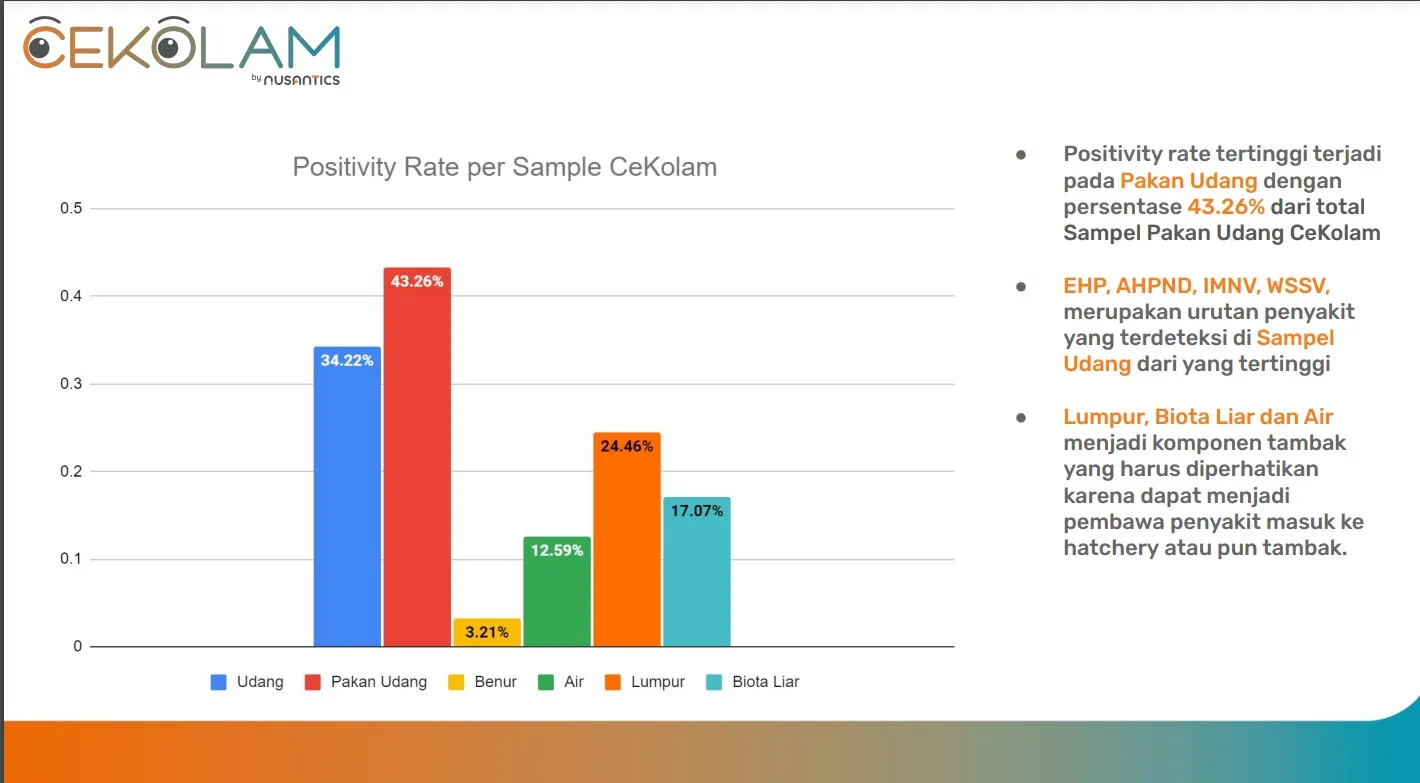 Monitoring Sumber Patogen: Tips Penting Mencegah Penyakit Udang Vaname