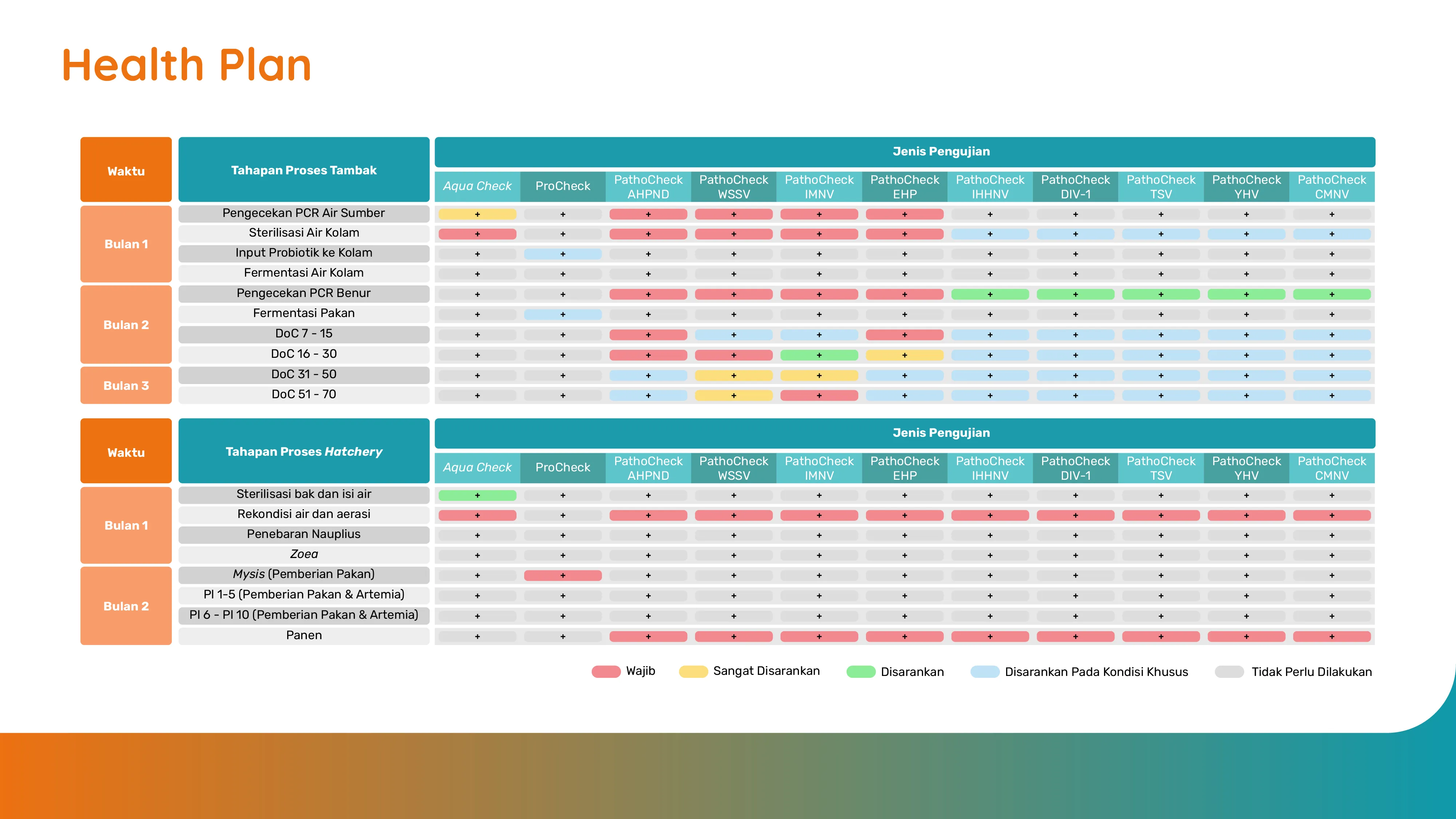 Monitoring Sumber Patogen: Tips Penting Mencegah Penyakit Udang Vaname