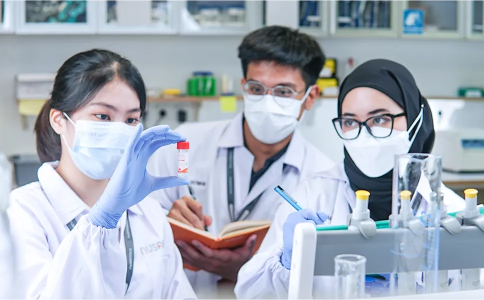 PCR: Cara Akurat Cek Penyakit Udang Vaname