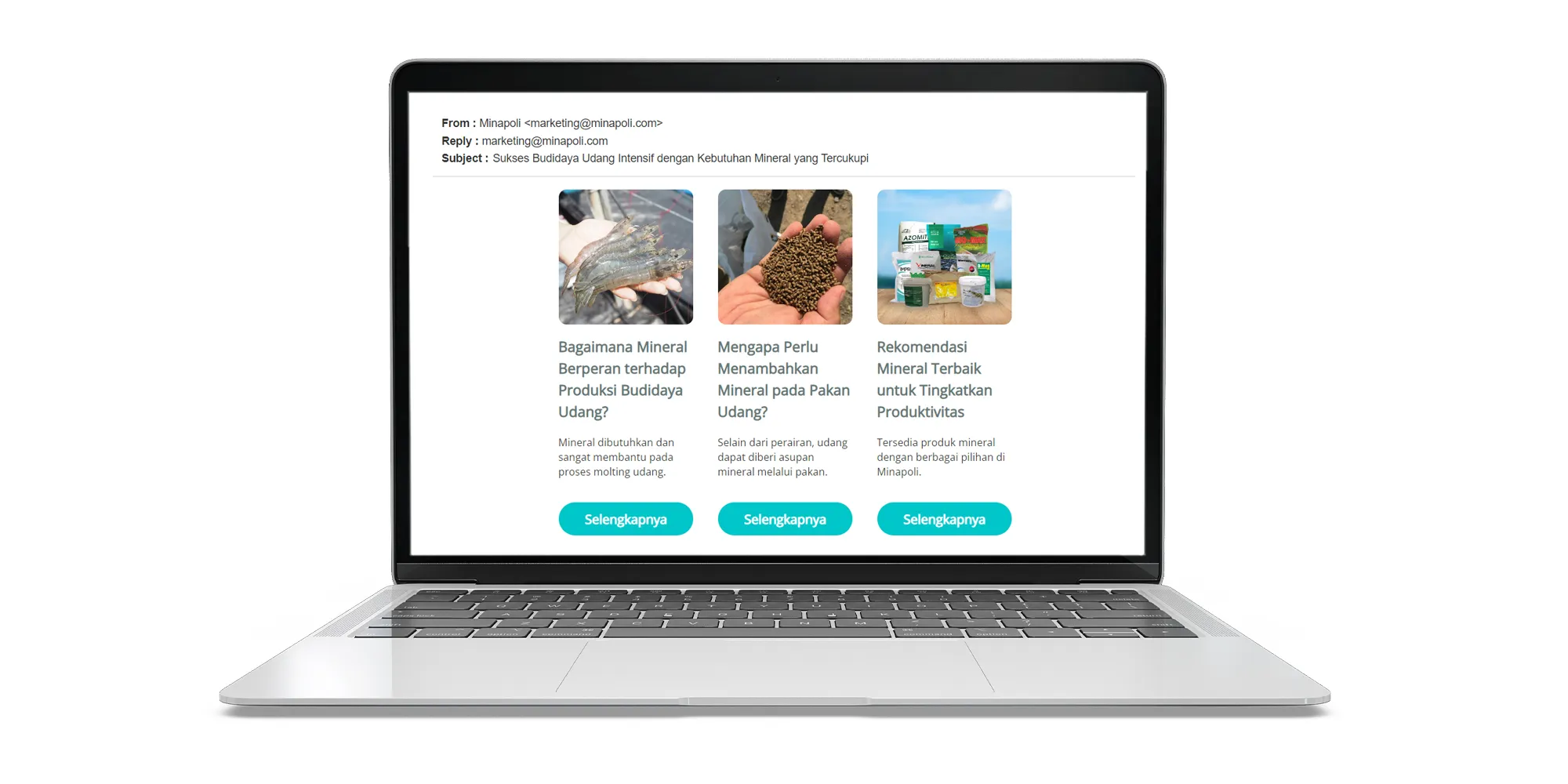 Ini Dia Cara Meningkatkan Penjualan Produk Perikanan Secara Online