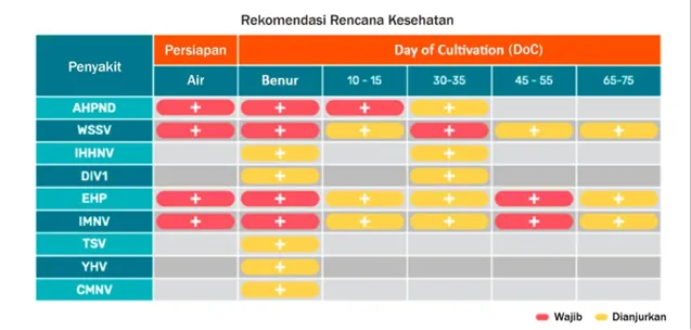 Pentingnya Cek Penyakit Udang Secara Berkala