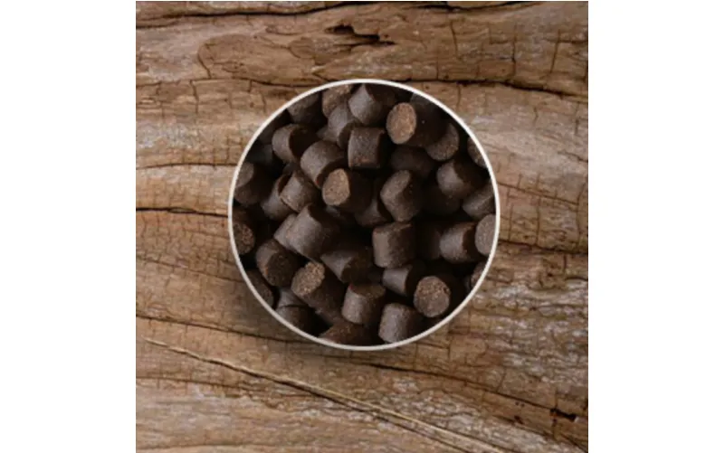 6 Cara Mudah Budidaya Ikan Kerapu sampai Sukses