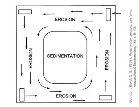 Kincir Tambak Udang: Fungsi dan Cara Menentukan Jumlahnya