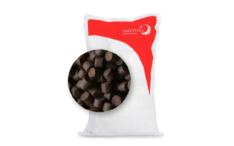 Pilihan Makanan Ikan Kakap Putih agar Cepat Besar