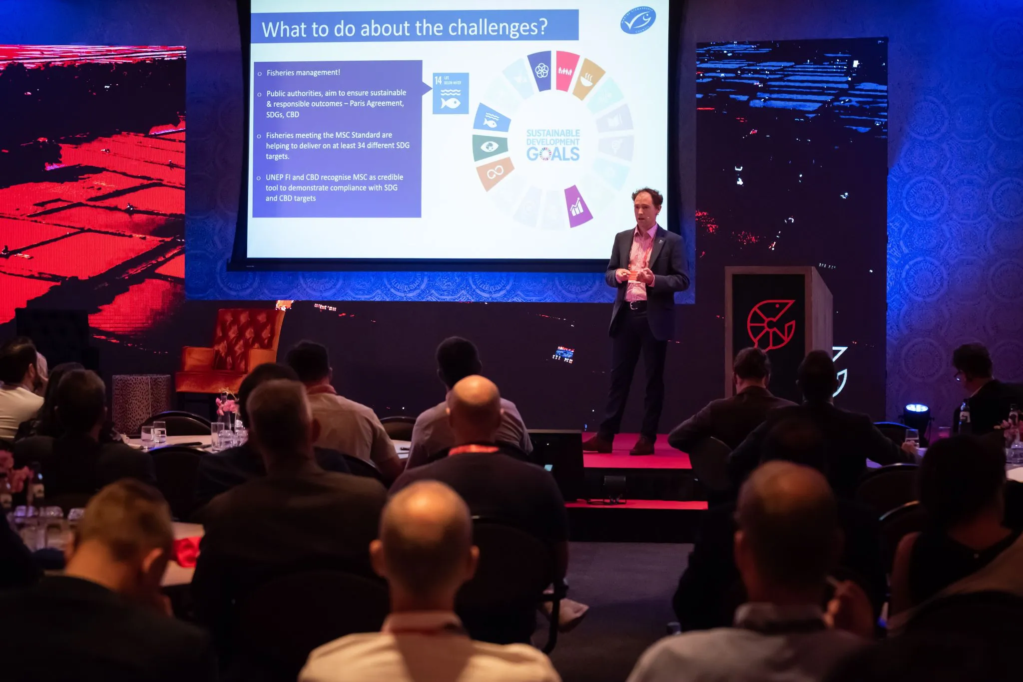 First Steps Agreed in The Creation of a Global Shrimp Council to Boost Worldwide Consumption