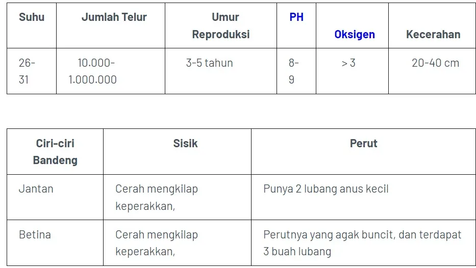 Cara Pembenihan Budidaya Ikan Bandeng