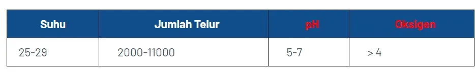 Cara Pembenihan Budidaya Ikan Gabus