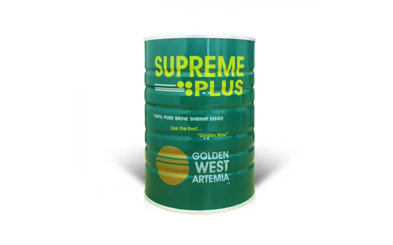 4 Pilihan Pakan Artemia Terbaik untuk Pertumbuhan Ikan Hias