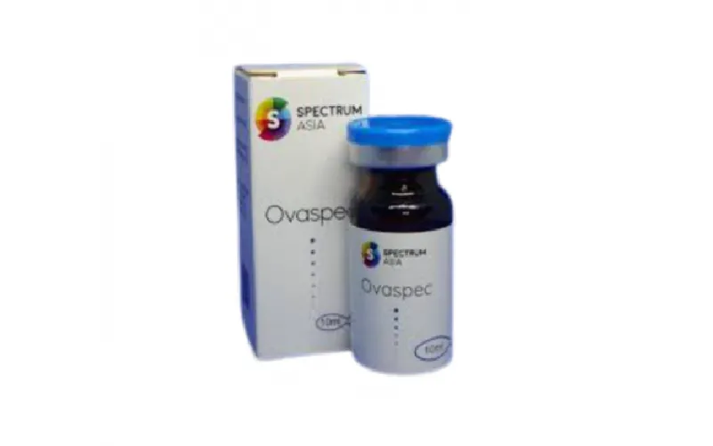 Hormon Ikan Hias Pengaruhi Warna, Pertumbuhan, dan Reproduksi