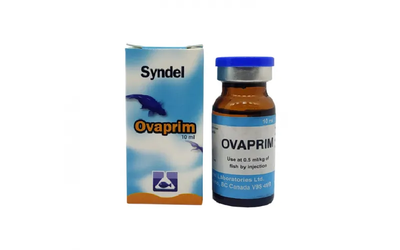 Hormon Ikan Hias Pengaruhi Warna, Pertumbuhan, dan Reproduksi