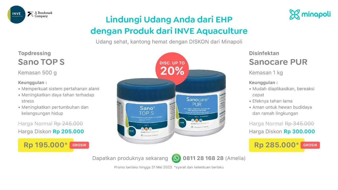 Penyakit EHP Udang Dibahas dalam Seminar Akuakultur, Pahami Cara Pencegahannya