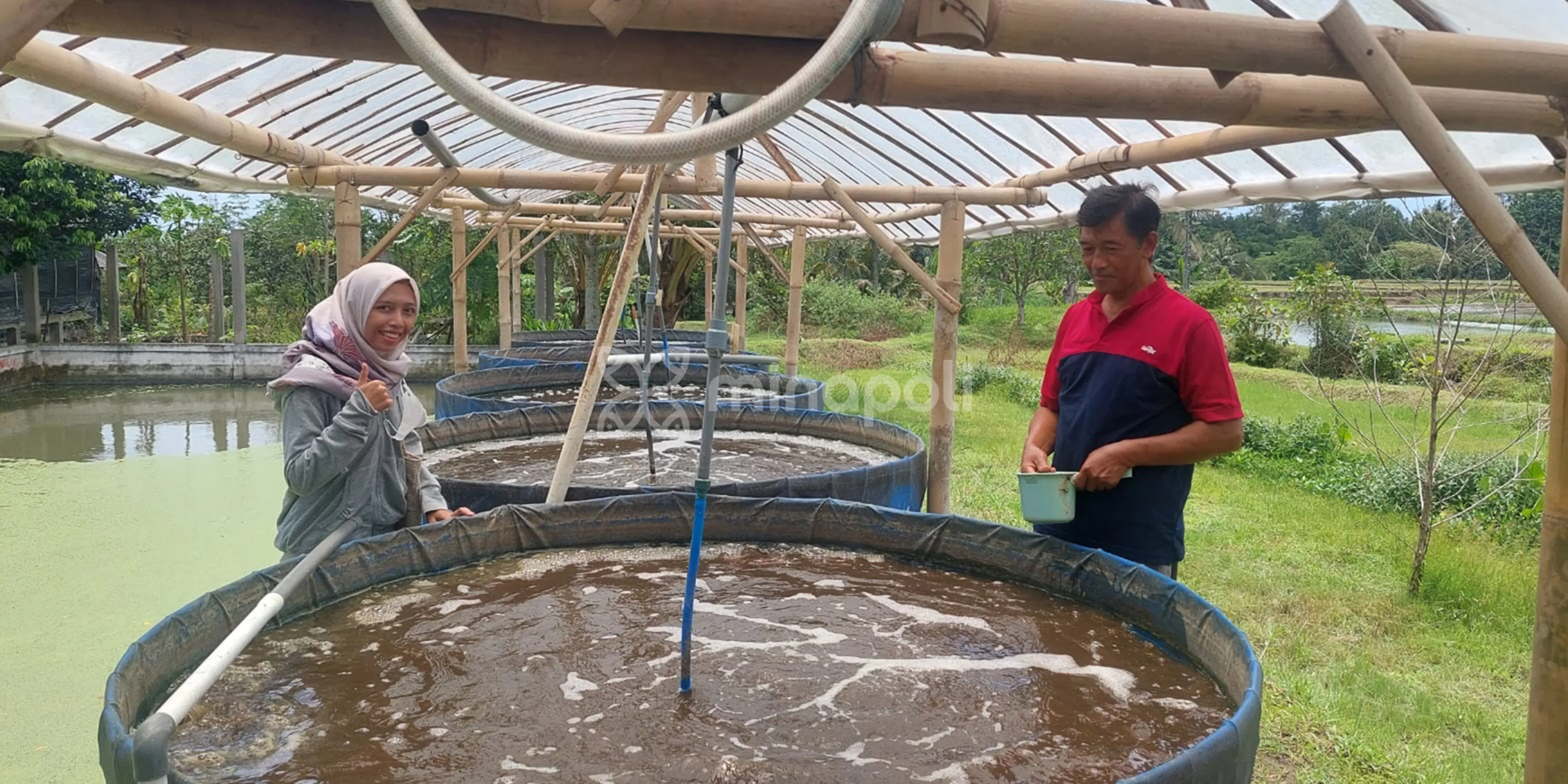 5 Strategi Pemasaran Produk Perikanan untuk Tingkatkan Penjualan