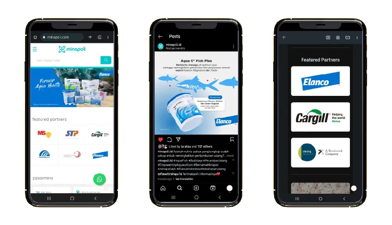 Jasa Iklan Perikanan untuk Meningkatkan Penjualan dan Memperluas Usaha