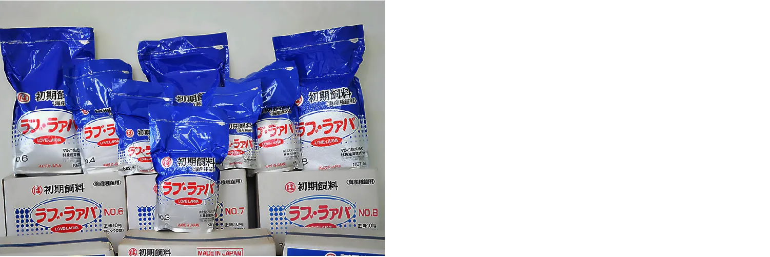 4 Tips Mudah Meningkatkan Warna Ikan Hias Agar Semakin Cantik