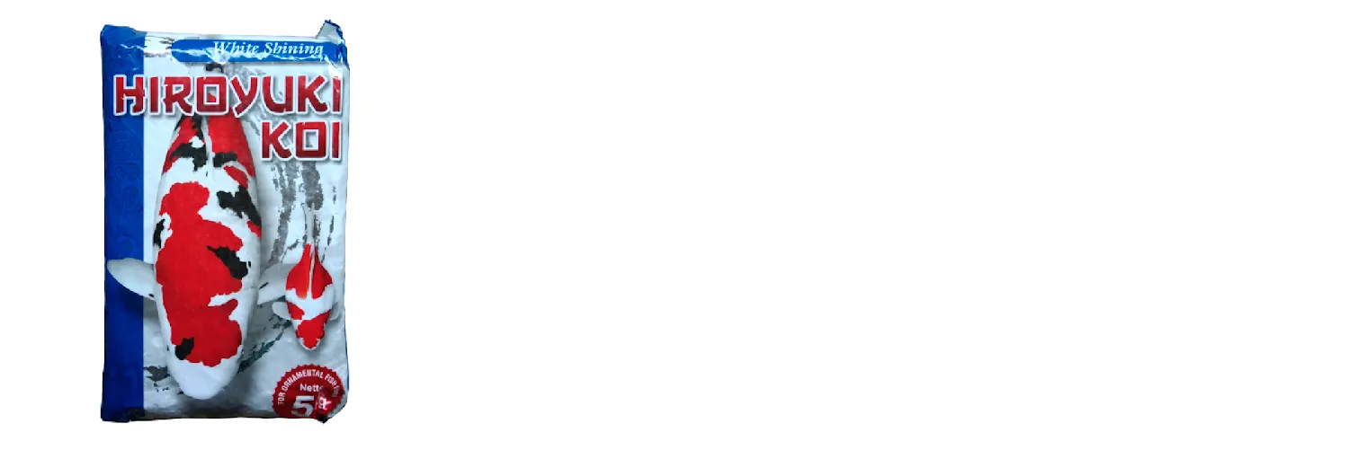 4 Tips Mudah Meningkatkan Warna Ikan Hias Agar Semakin Cantik