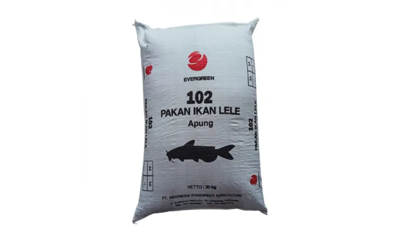 6 Rekomendasi Pakan Ikan Lele Terbaik untuk Usaha Budidaya Lele Menguntungkan