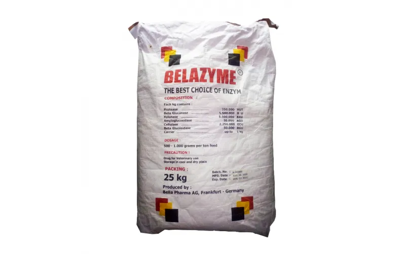 6 Rekomendasi Vitamin Ikan Lele untuk Mencegah Serangan Penyakit Ikan Lele