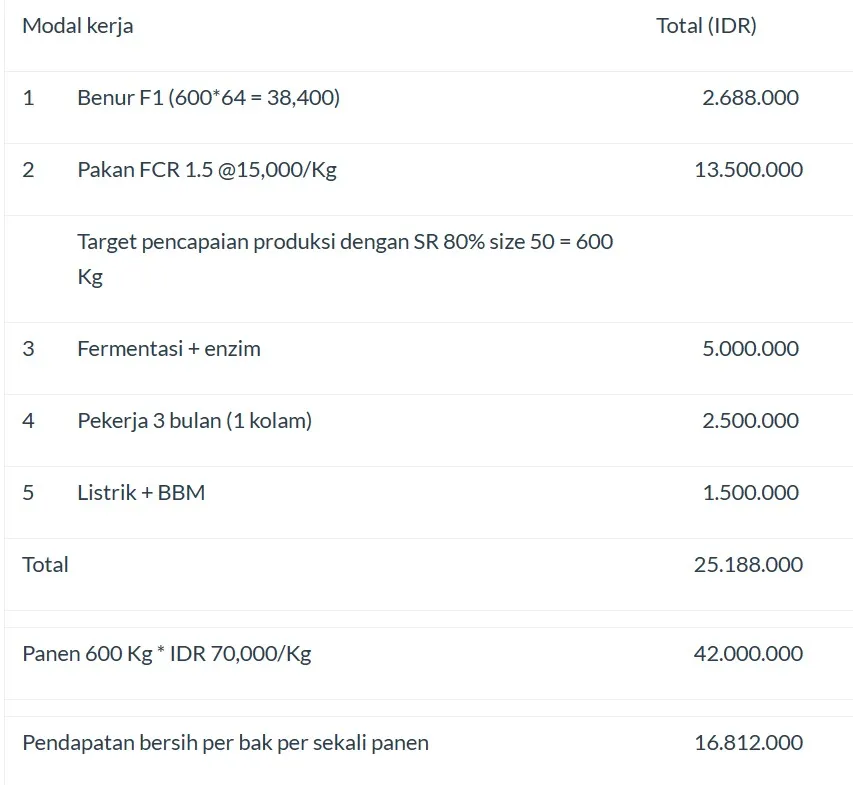 Budidaya Udang Vaname Intensif dan Analisa Modalnya