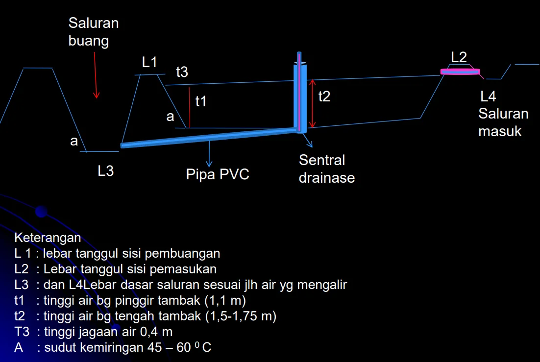 Tips Merancang Konstruksi Tambak Udang Vannamei agar Produksi Optimal
