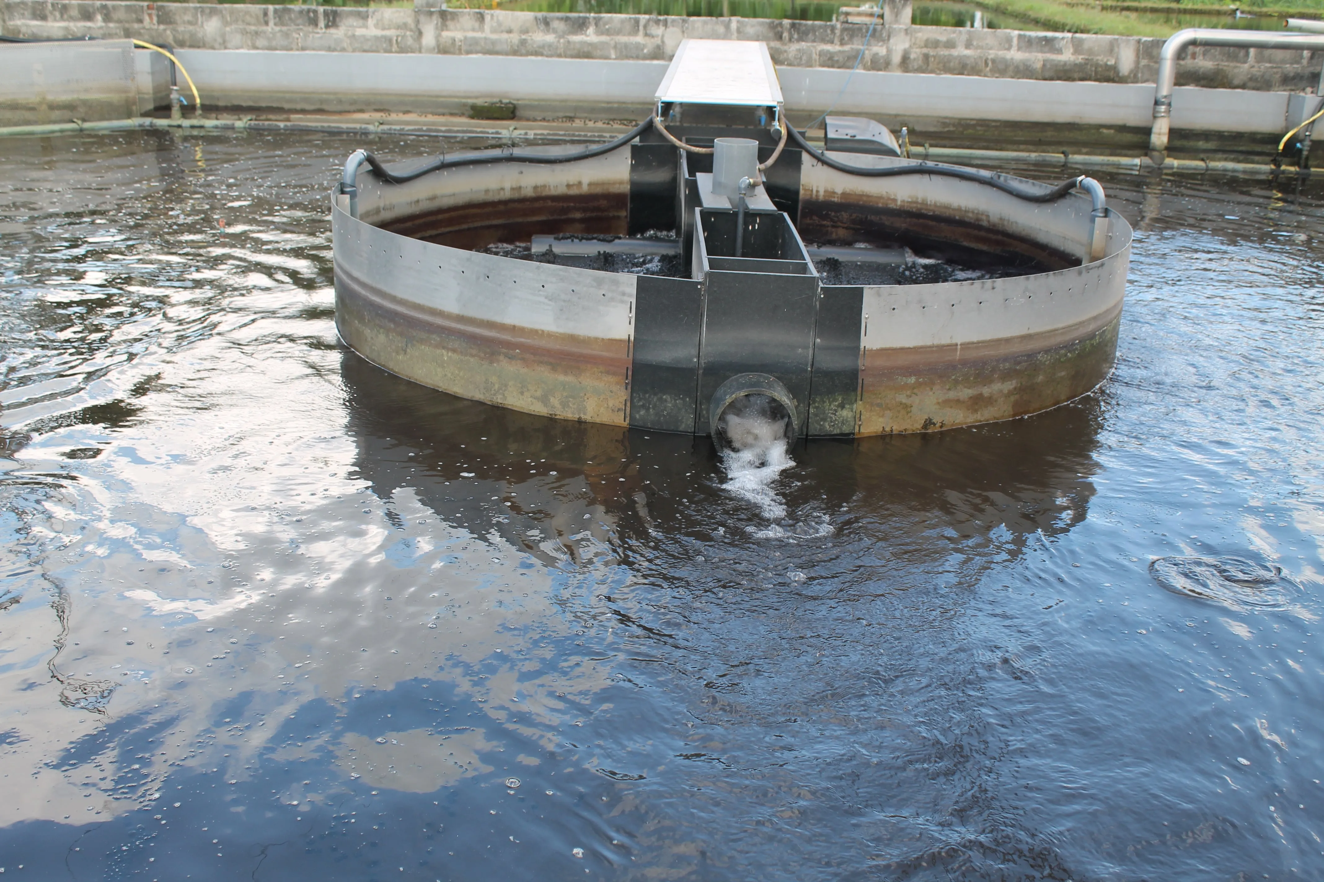 Recirculating Aquaculture Systems (RAS): Seberapa Pentingkah untuk Meningkatkan Jumlah Produksi?