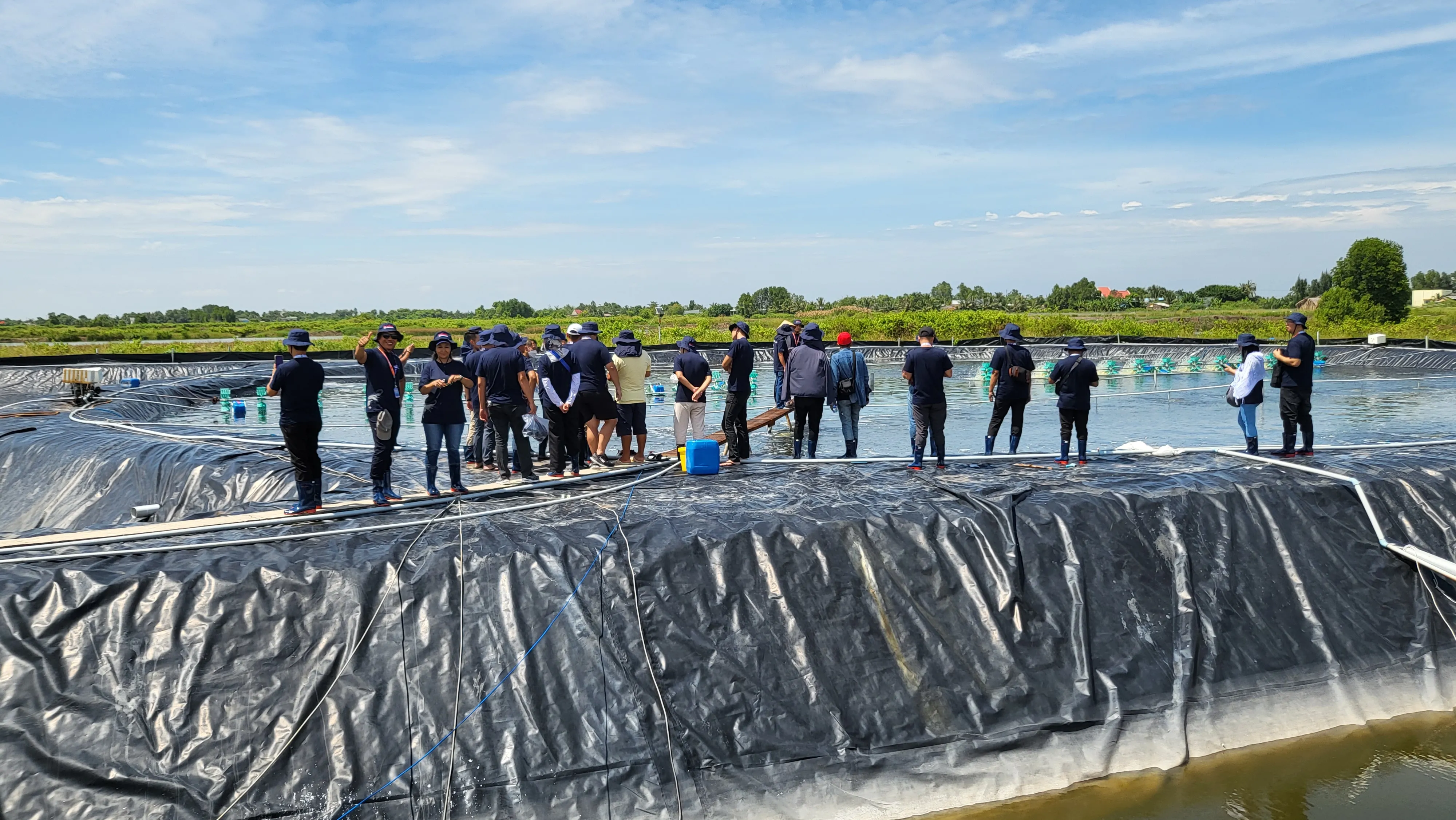 Inovasi Tambak Udang Rakyat Vietnam Untuk Bersaing di Pasar Dunia