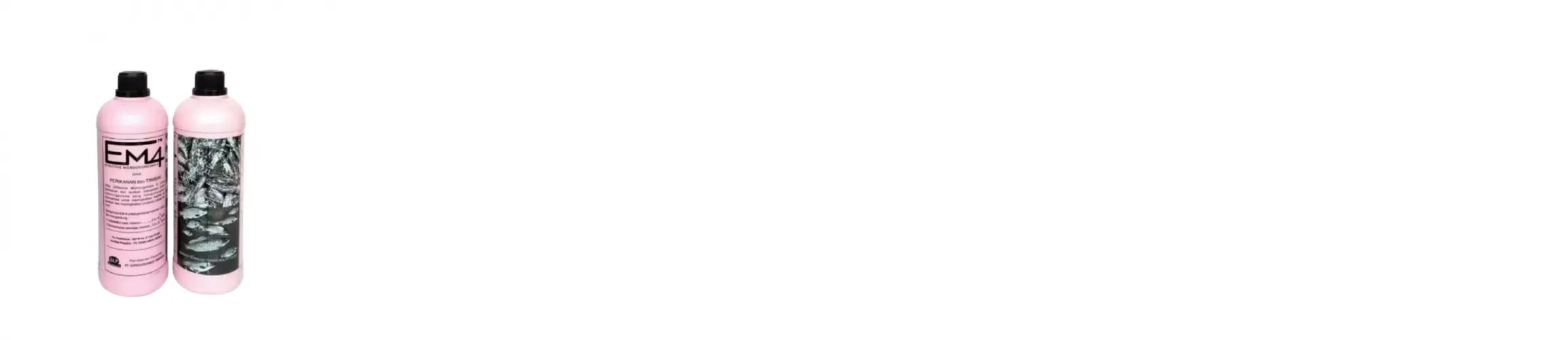 Cara Memilih Probiotik untuk Ikan