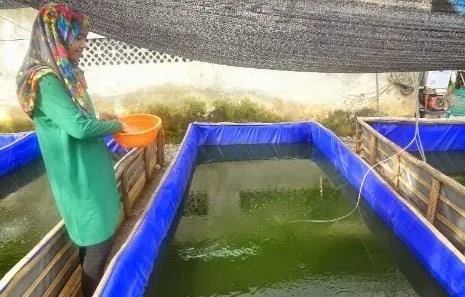 Warna Air Yang Baik Untuk Budidaya Ikan