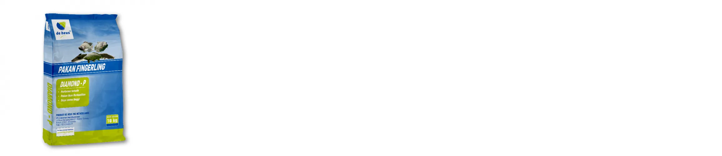 Cara Memberi Pakan Bibit Lele Agar Cepat Besar