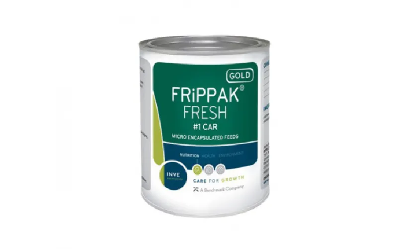 4 Pilihan Pakan untuk Benur Udang Vaname Tumbuh Optimal